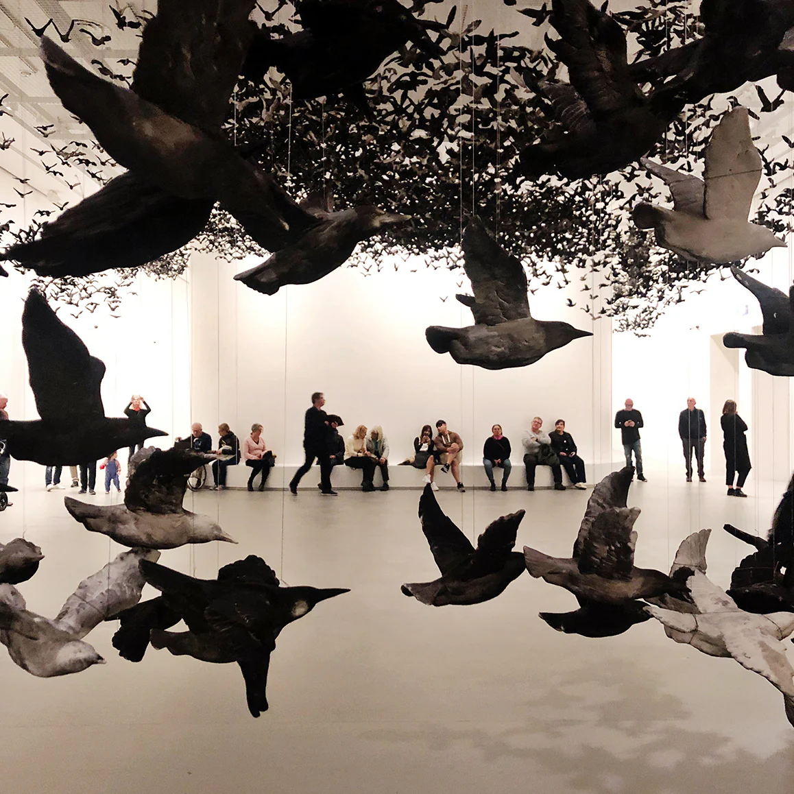 NGV Limited Edition - Cai Guo-Qiang Murmuration Box - Image 5