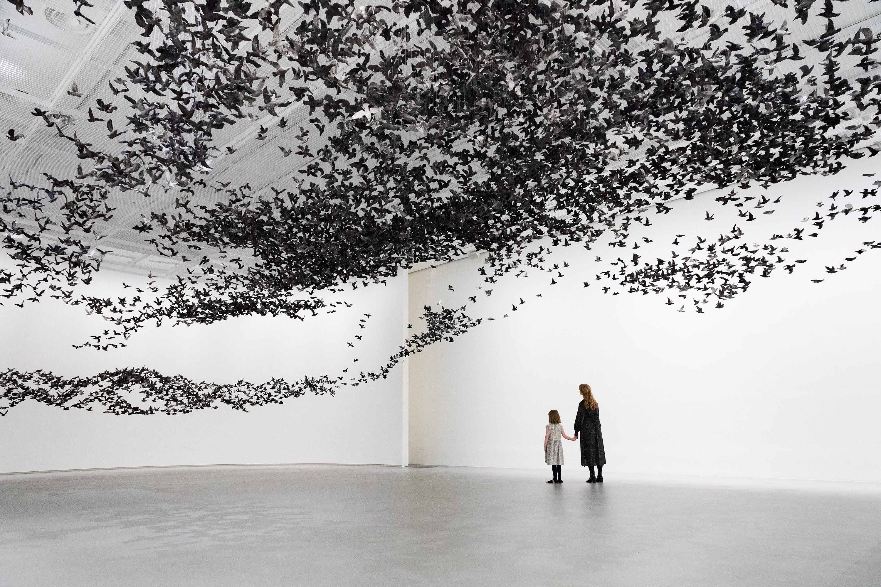 NGV Limited Edition - Cai Guo-Qiang Murmuration Box - Image 6