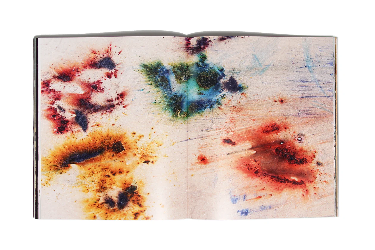 Cai Guo-Qiang: The Transient Landscape - Image 3