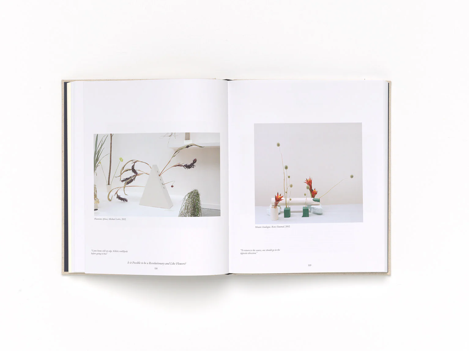 Camille Henrot - Image 11