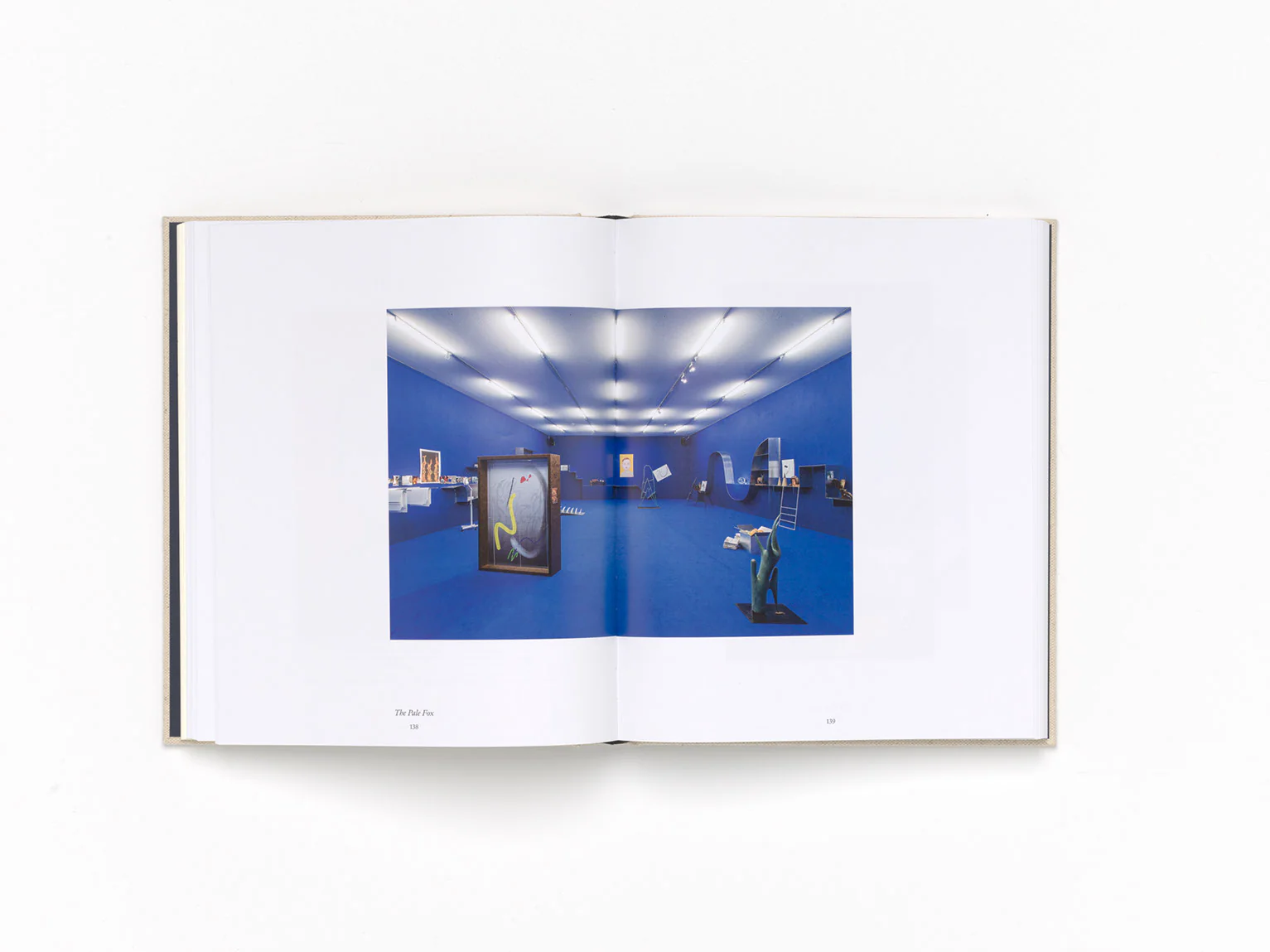 Camille Henrot - Image 12