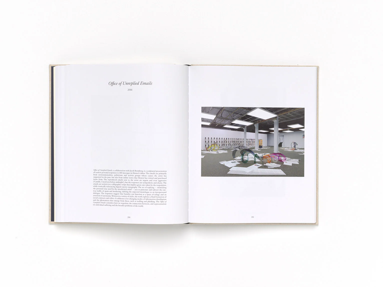 Camille Henrot - Image 8
