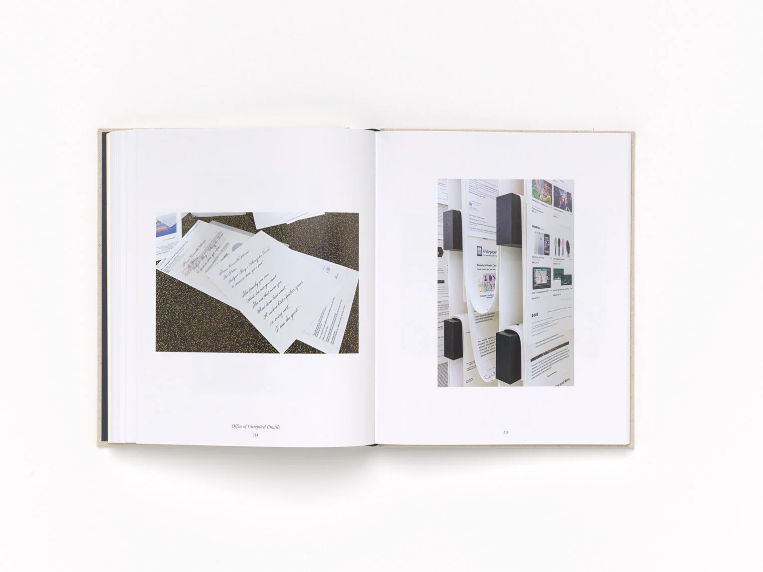 Camille Henrot - Image 9