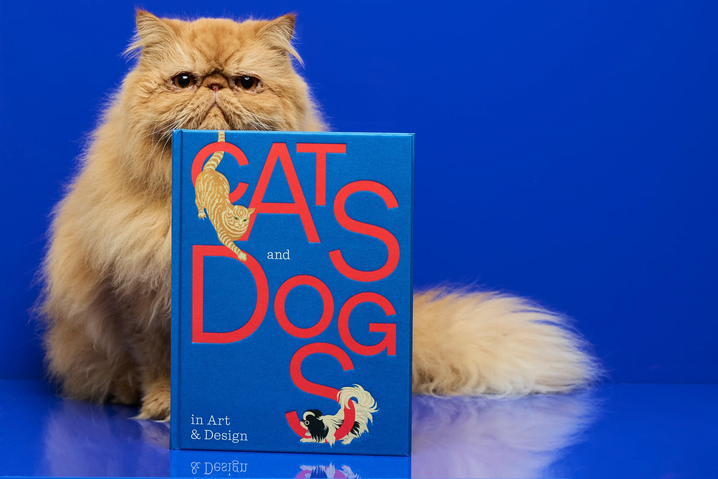 Cats and Dogs in Art & Design - Image 10