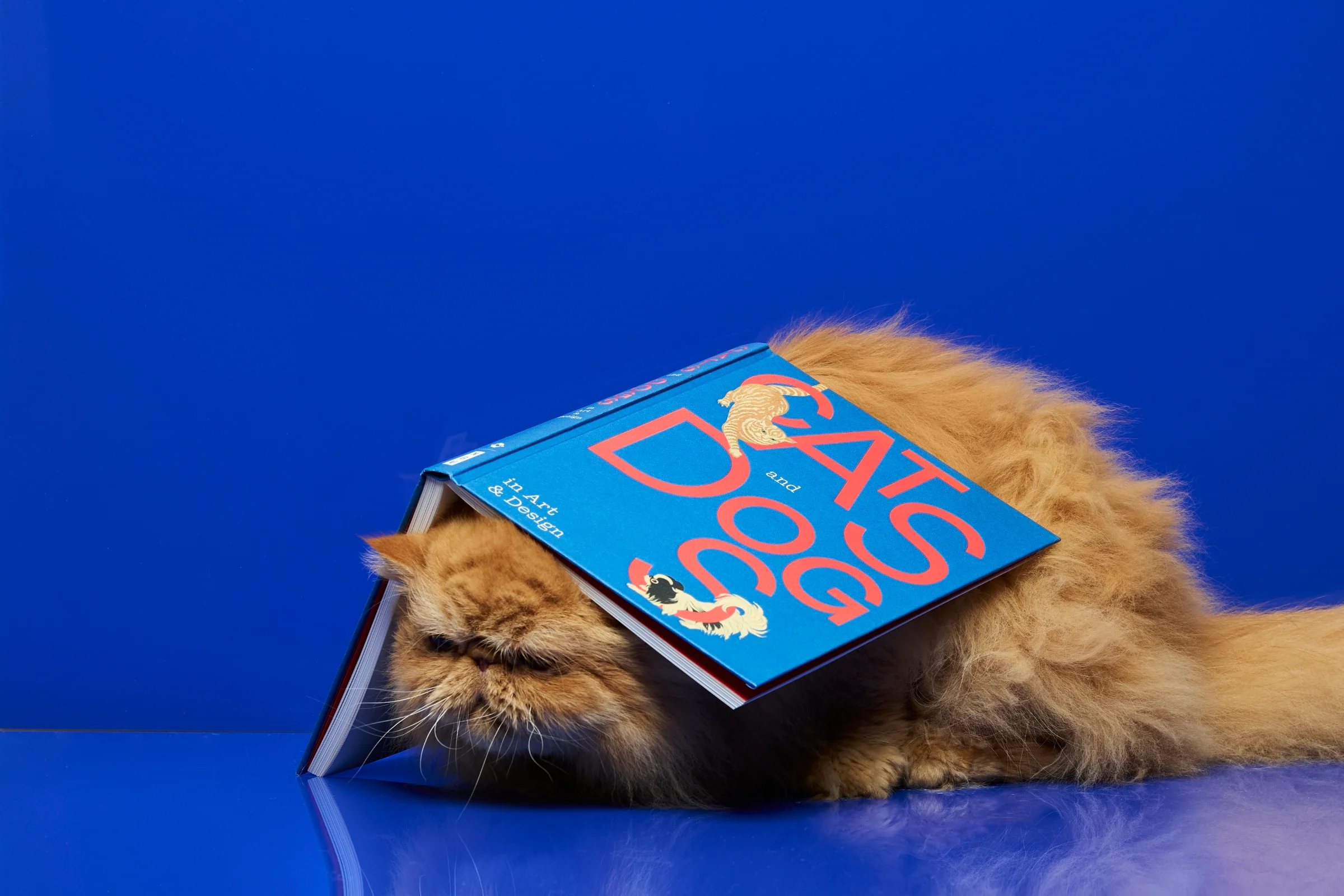 Cats and Dogs in Art & Design - Image 17