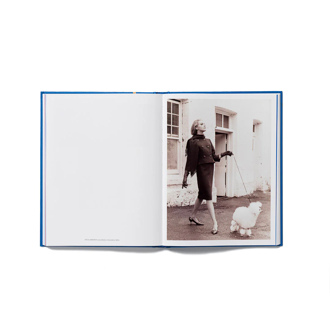 Cats and Dogs in Art & Design - Image 8