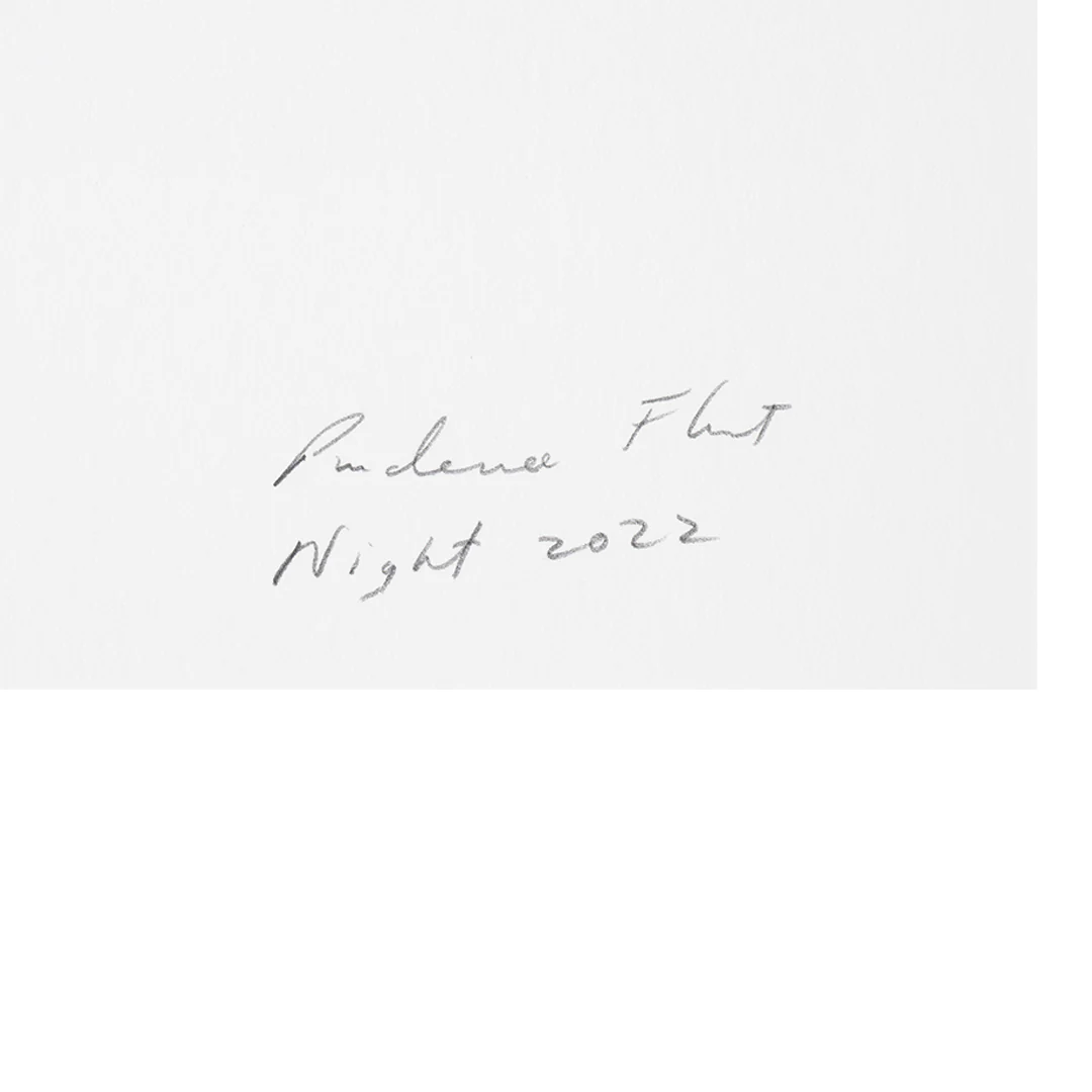 NGV Limited Edition - Prudence Flint - Image 2