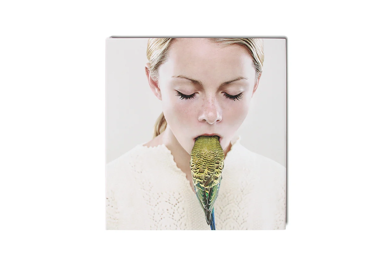 Petrina Hicks: Bleached Gothic