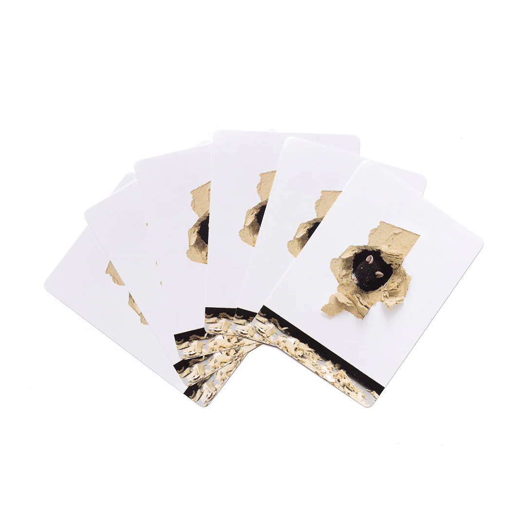 Playing Cards - Ryan Gander, The End - Image 3